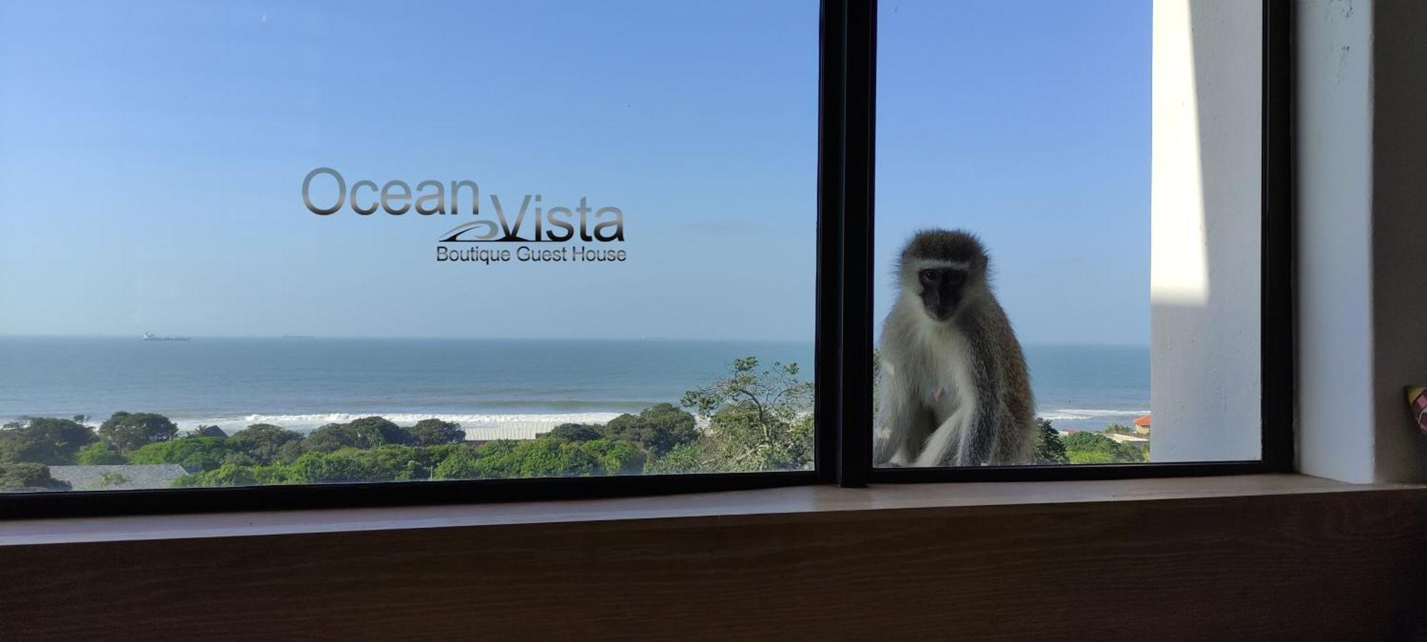 Ocean Vista Boutique Guest House Ντούρμπαν Εξωτερικό φωτογραφία